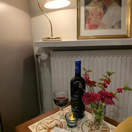 Ved Vigen Apartment